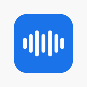 Soundtype AI logo