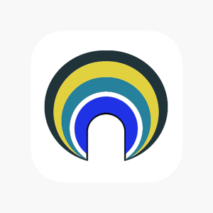 Touch Voice logo